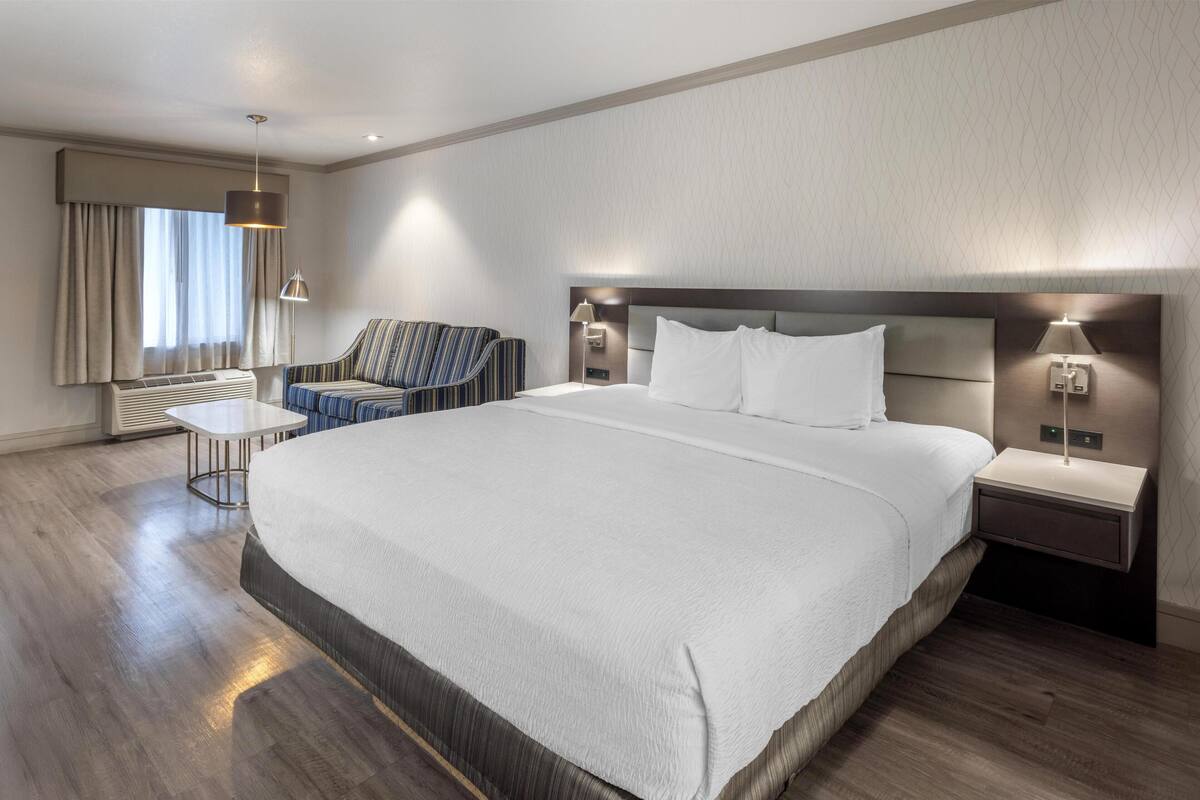 Una moderna camera d'albergo con un letto grande, un divano, un tavolino e un comodino con una lampada.