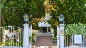 A gated entrance to Villa Mavapa with a paved pathway leading to the entrance, surrounded by lush greenery and white chairs. - Hotel Villa Mabapa (Venice)