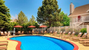 A swimming pool with lounge chairs and umbrellas, surrounded by trees and a wooden fence.