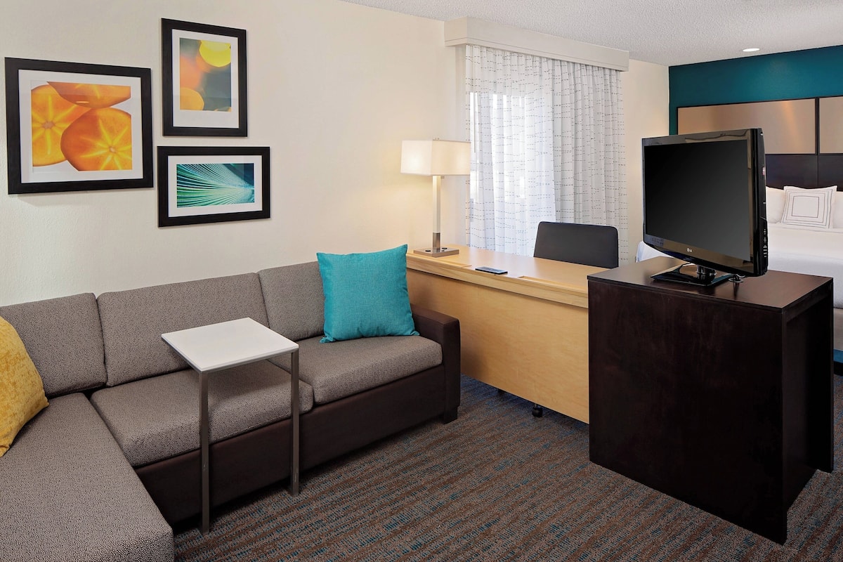 studio, 1 queen bed with sofa bed | living area | 32-inch lcd tv with digital channels, tv, dvd player