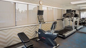A gym with cardio machines, a bench, and a wall-mounted TV.