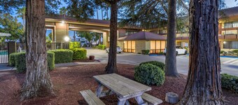Best Western Orchard Inn