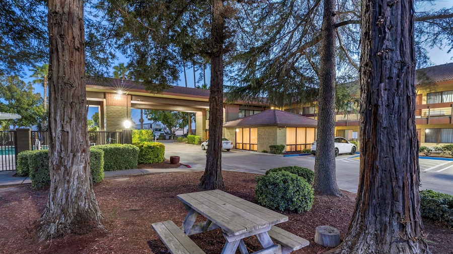 Best Western Orchard Inn