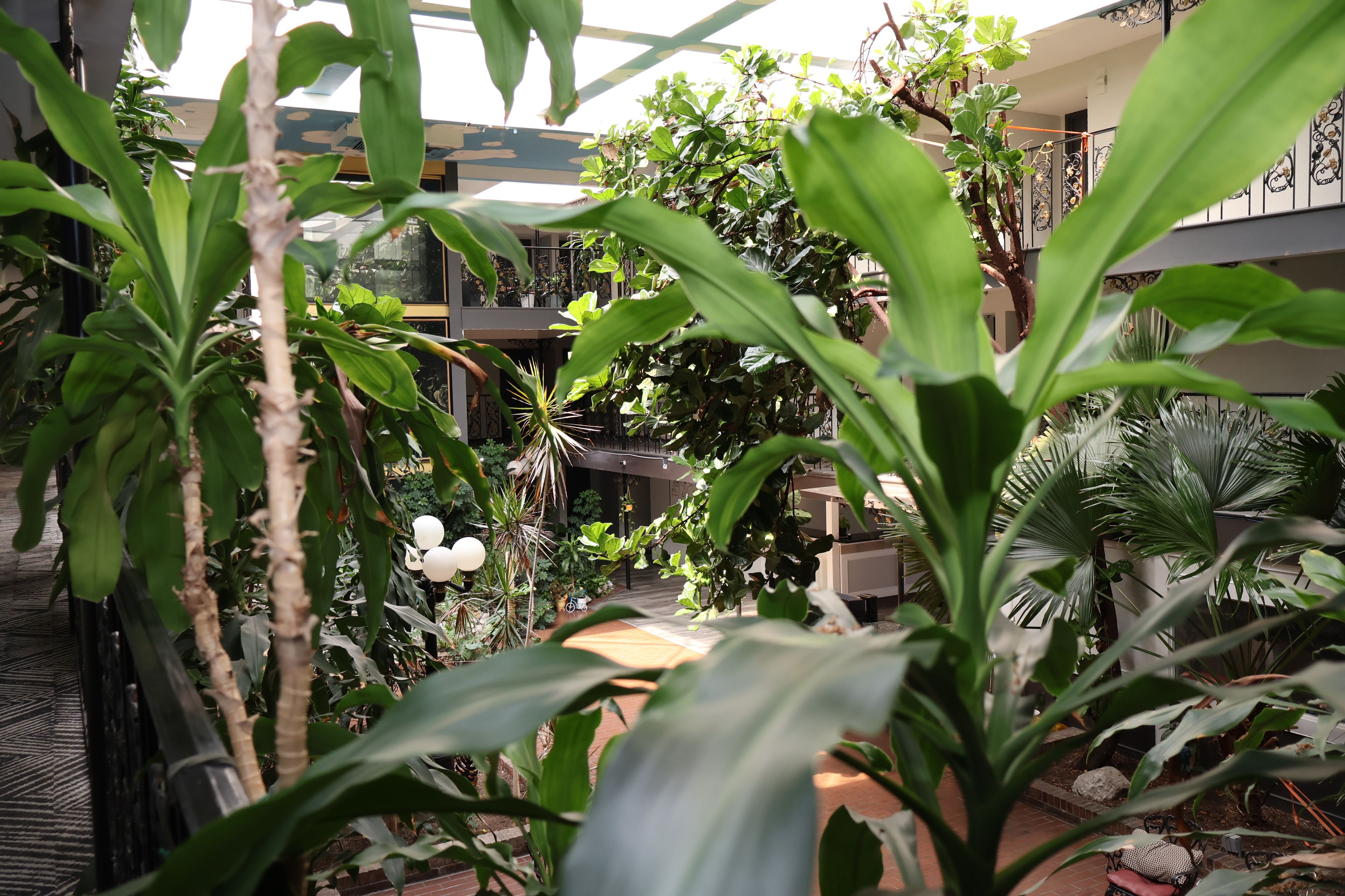 A lush indoor garden with various plants and a seating area.