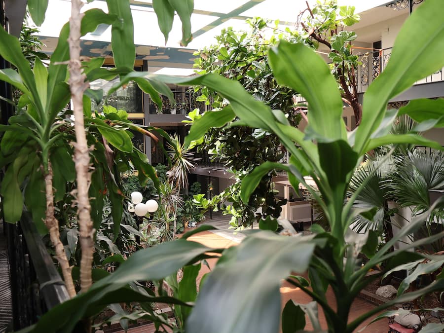 A lush indoor garden with various plants and a seating area.