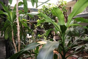 A lush indoor garden with various plants and a seating area. - Garden Cove Hotel Suites (Tulsa)