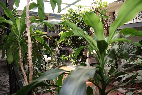 Un exuberante jardín interior con diversas plantas y una zona de estar.