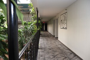 Un pasillo con piso estampado, barandal negro y plantas verdes.