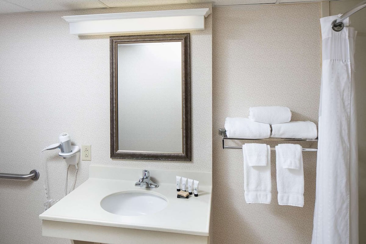 combined shower/bathtub, free toiletries, hair dryer, towels