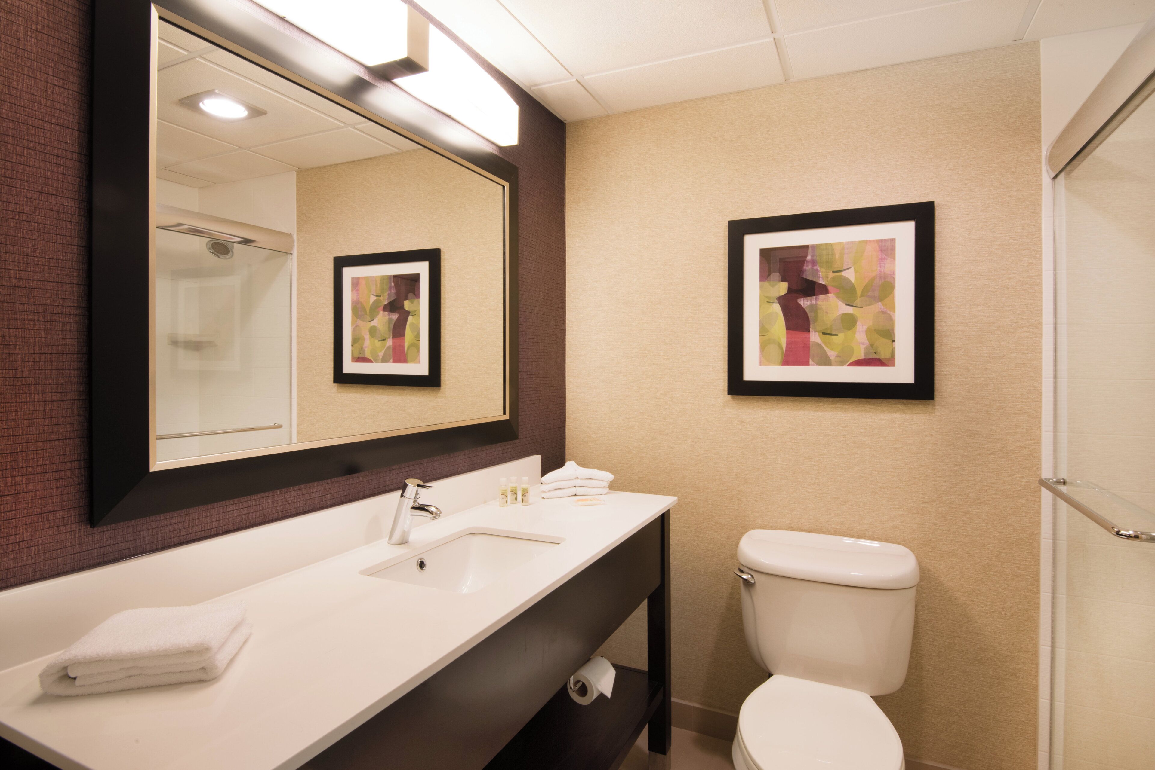 A modern bathroom with a large mirror, a sink, a toilet, and two framed artworks on the wall.