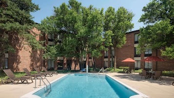 Outdoor pool, pool loungers