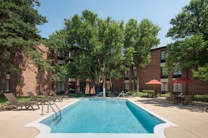 Outdoor pool, sun loungers