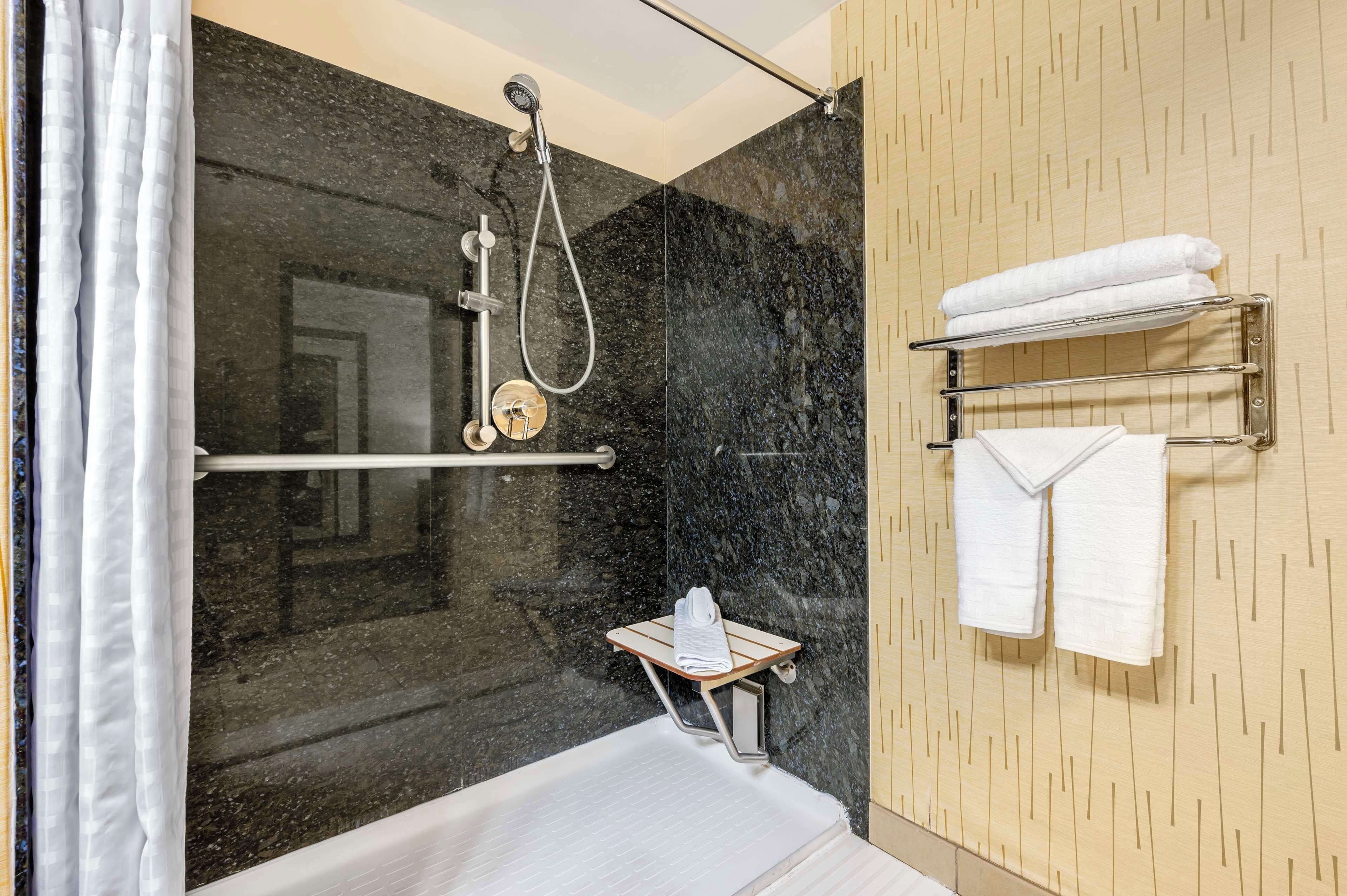 standard room, 1 king bed, accessible, non smoking | bathroom | shower, free toiletries, hair dryer, towels