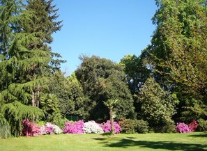Taman