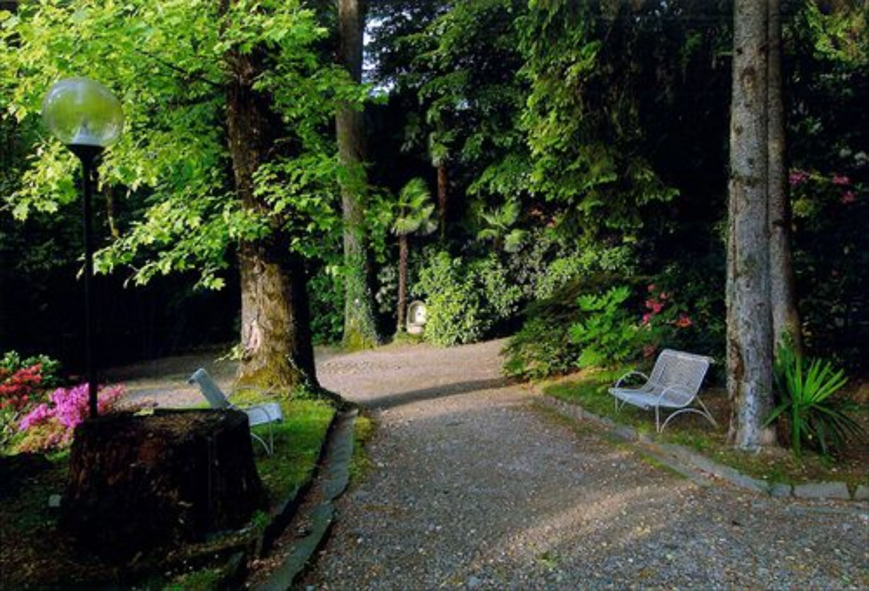 Giardino