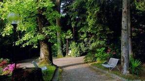 Billede uden beskrivelse, 3 af 73, knap