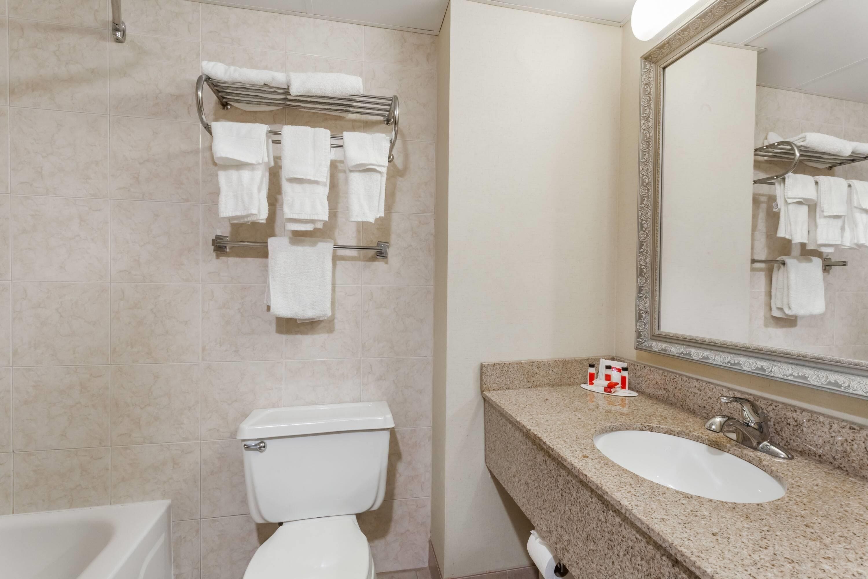 A bathroom with a toilet, a sink, a towel rack, and a mirror.