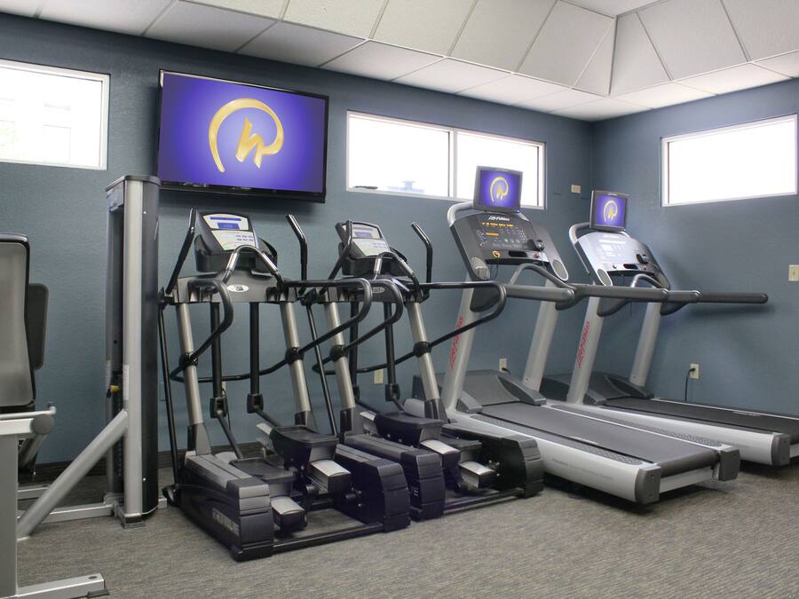 Un gimnasio con cintas de correr, elípticas y una bicicleta estática.