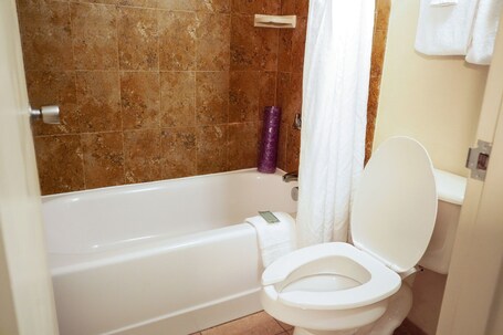 Rosen Inn International - Image 57