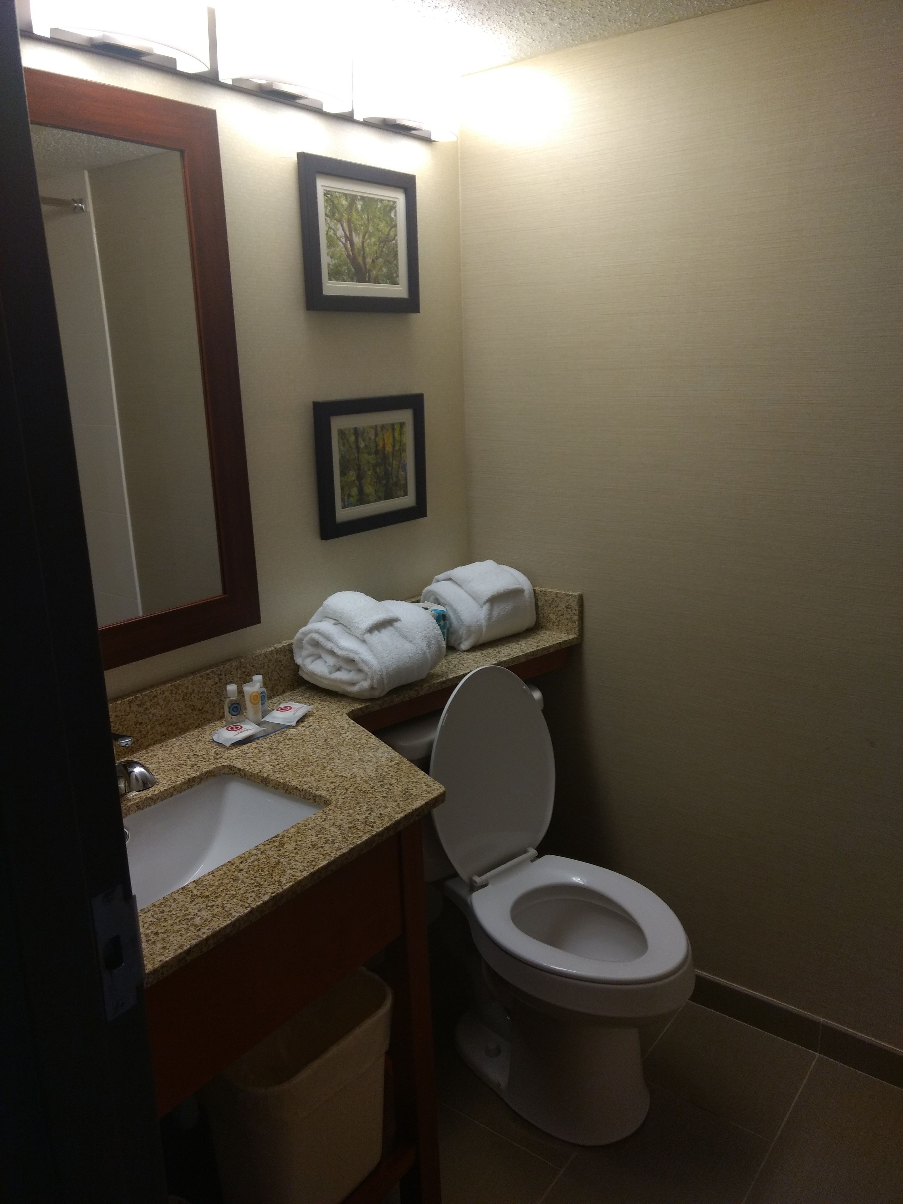 combined shower/bathtub, free toiletries, hair dryer, towels