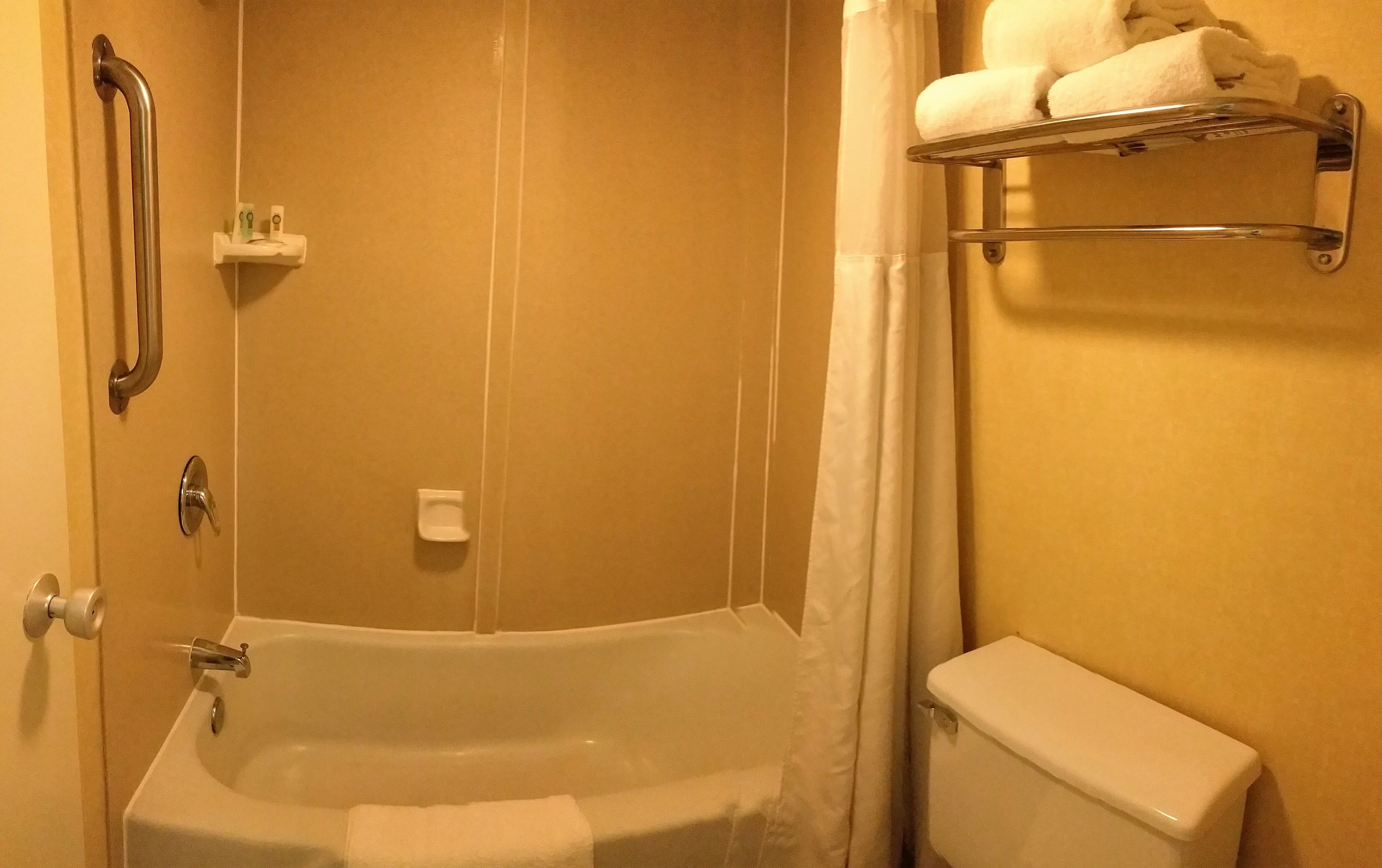 combined shower/bathtub, free toiletries, hair dryer, towels