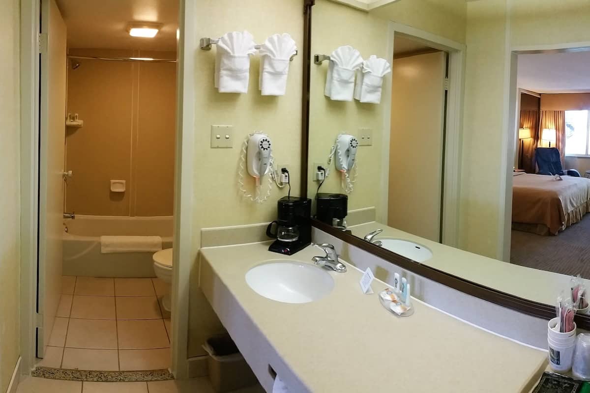 combined shower/bathtub, free toiletries, hair dryer, towels