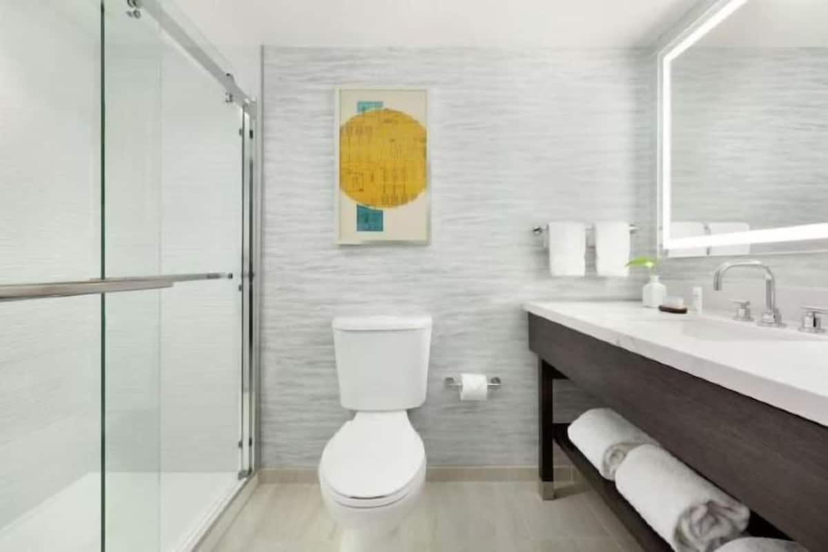 Combined shower/tub, free toiletries, hair dryer, towels