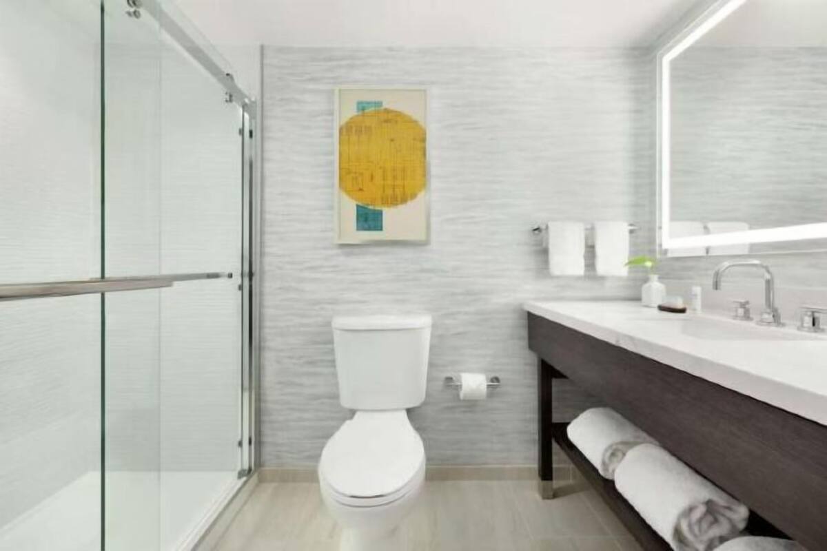 Combined shower/bathtub, free toiletries, hair dryer, towels