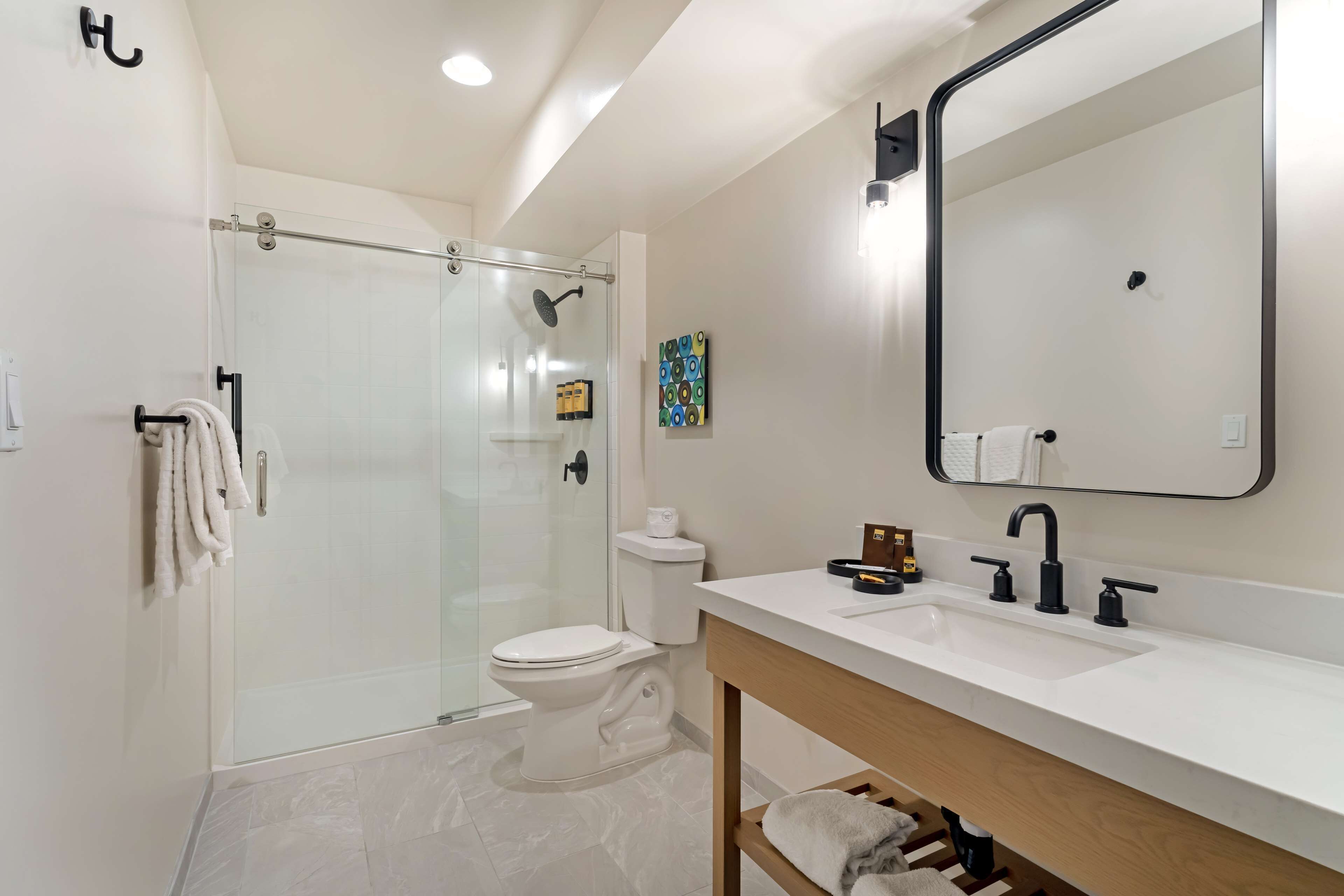 standard room, 1 king bed, refrigerator & microwave, ground floor (walk-in shower) | bathroom | free toiletries, hair dryer, towels