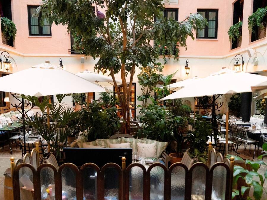 Un patio con mobiliario exterior, rodeado de plantas y sombrillas.