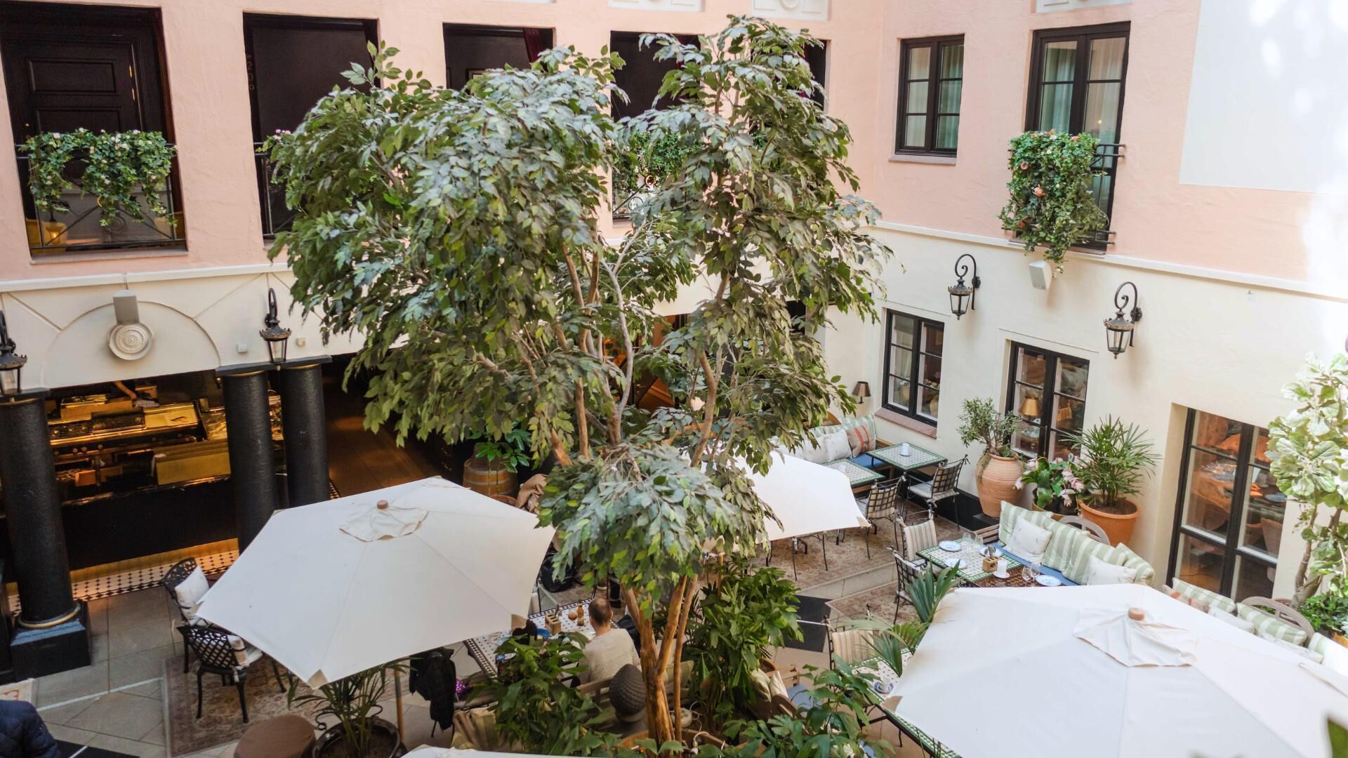 Un pati amb seients exteriors, un arbre gran i un edifici amb nombroses finestres.