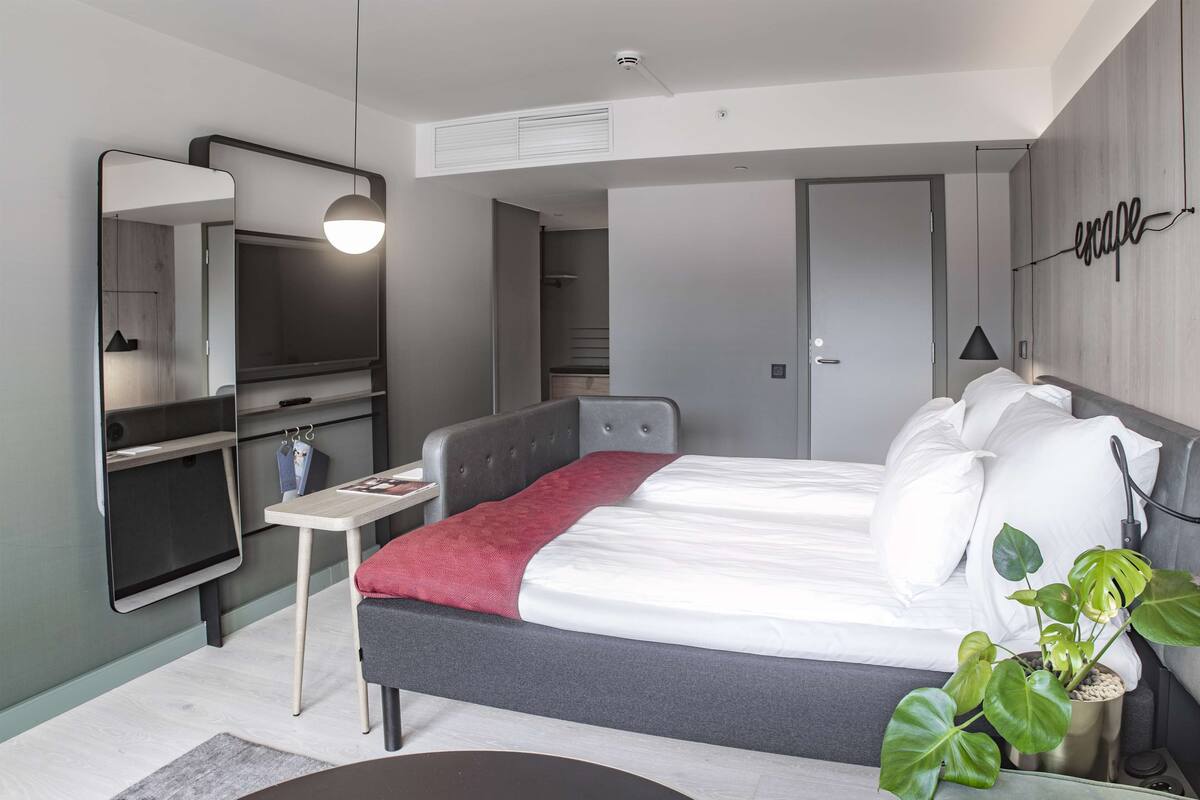 A modern hotel room with a large bed, a bedside table, a mirror, a TV, and a plant.
