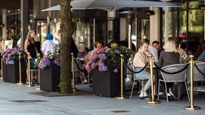Outdoor seating with umbrellas, potted plants, and a tree.