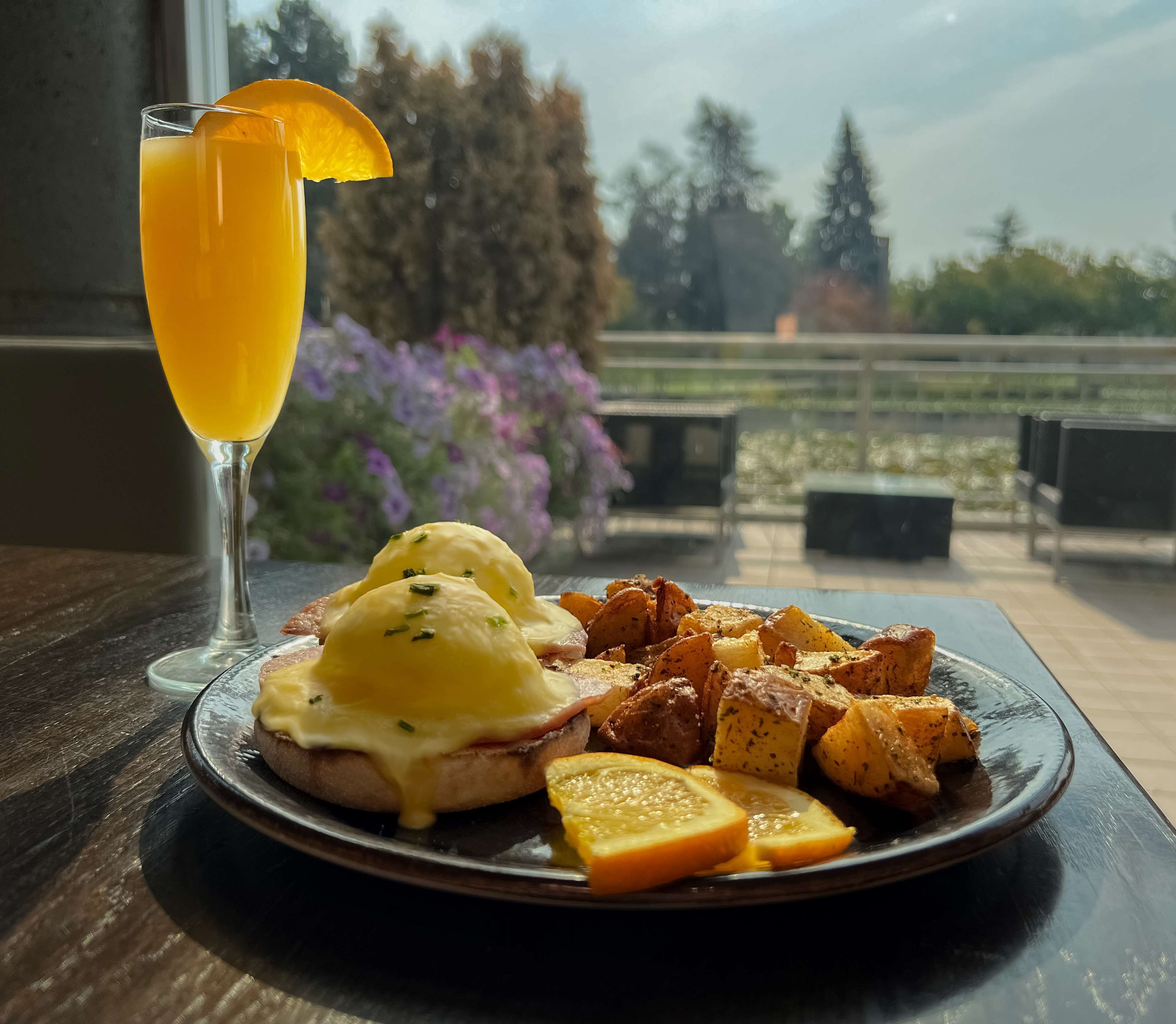 dinner served, garden views