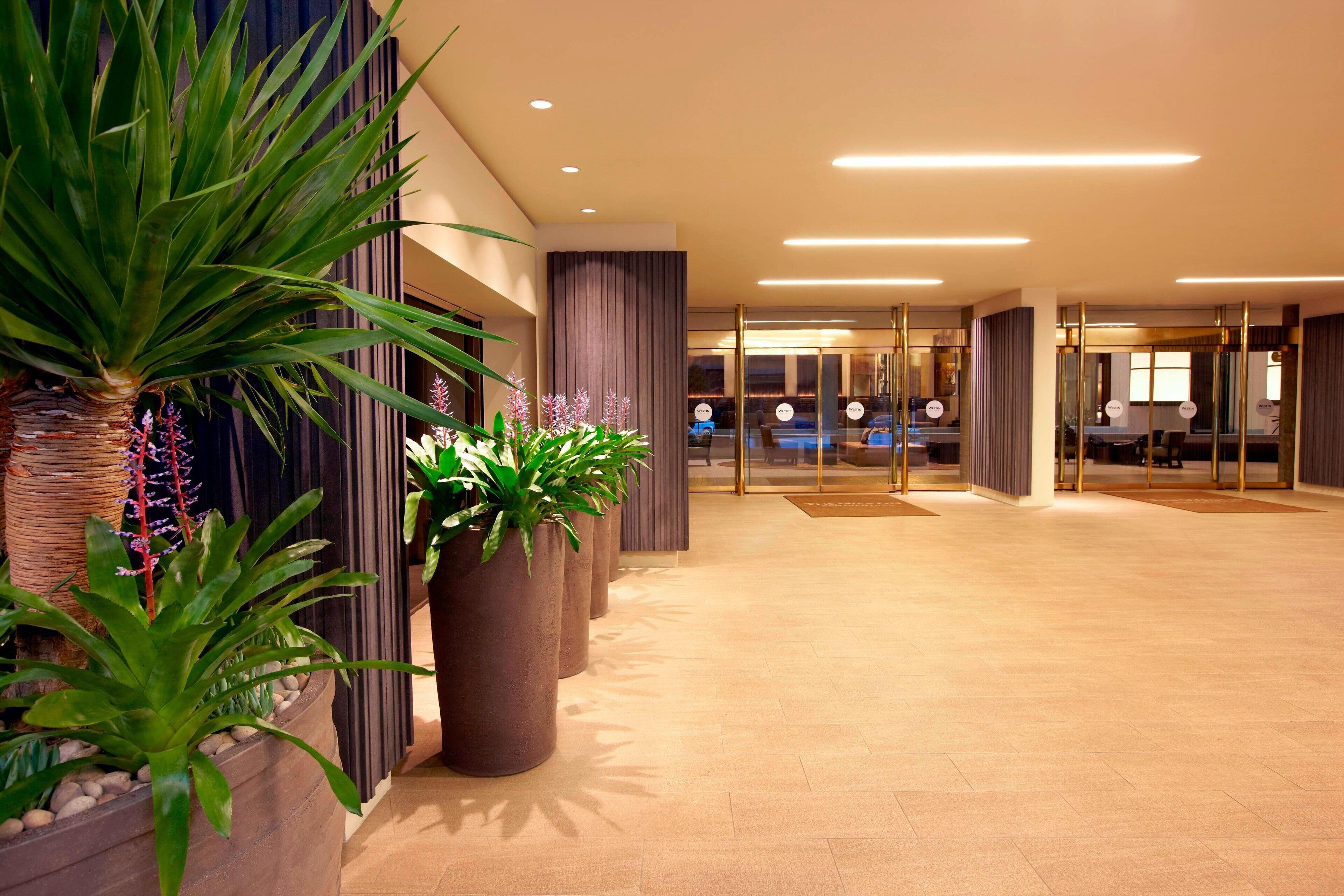 Eine geräumige Lobby im modernen Stil, mit Empfangsbereich, Glastüren zu einer Wartezone und mehreren großen Kübelpflanzen.