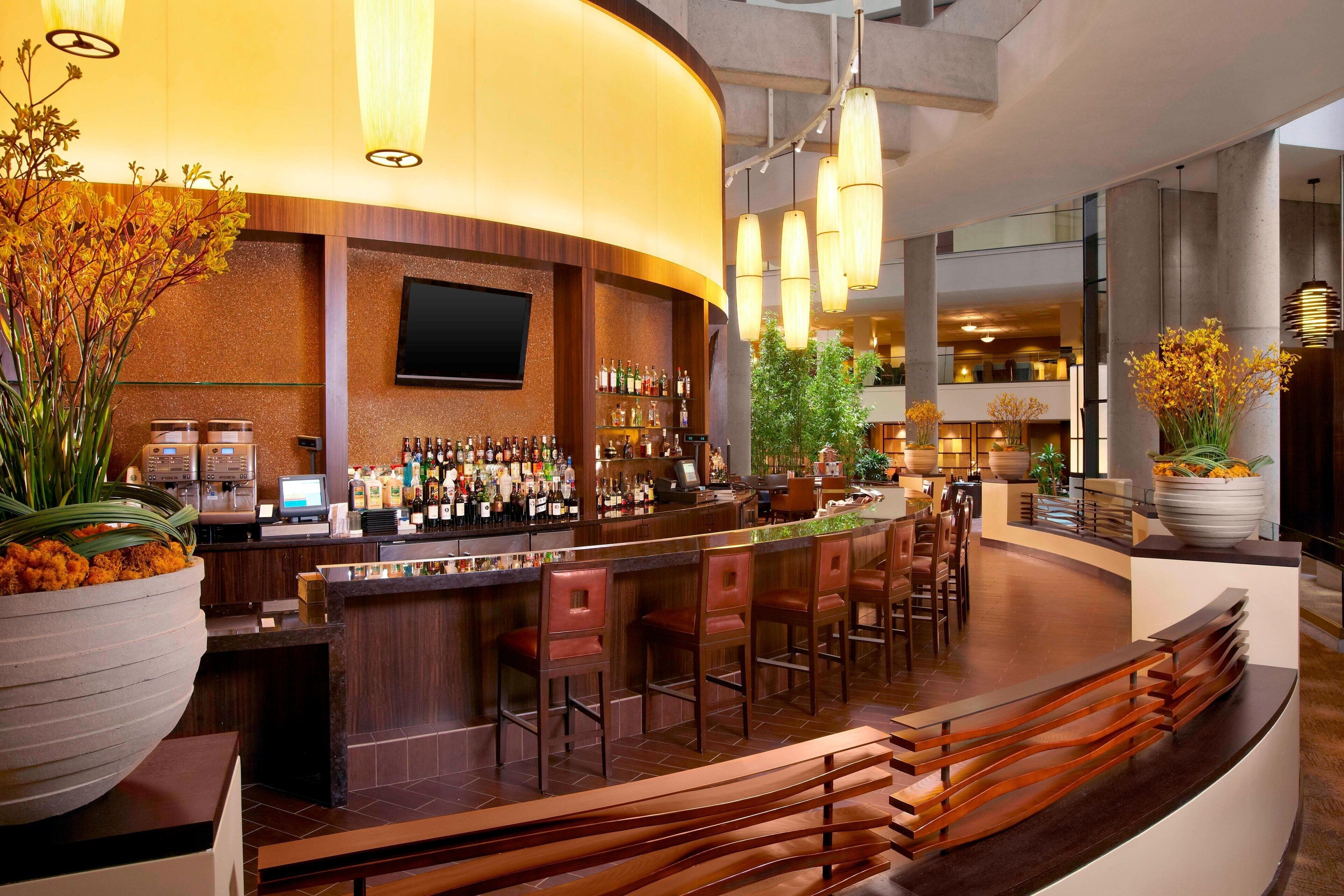 A modern bar area with a curved counter, multiple bar stools, and a large potted plant.
