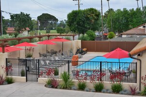 Una piscina al aire libre, sombrillas, sillones reclinables de piscina