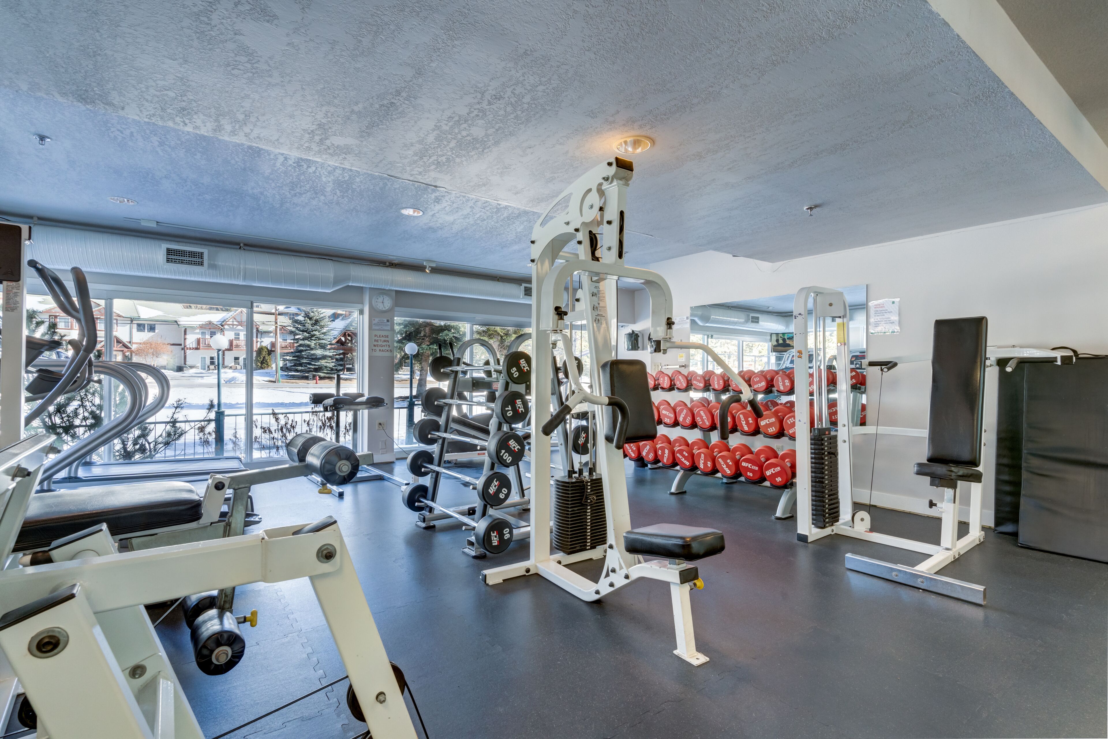 Gimnasium