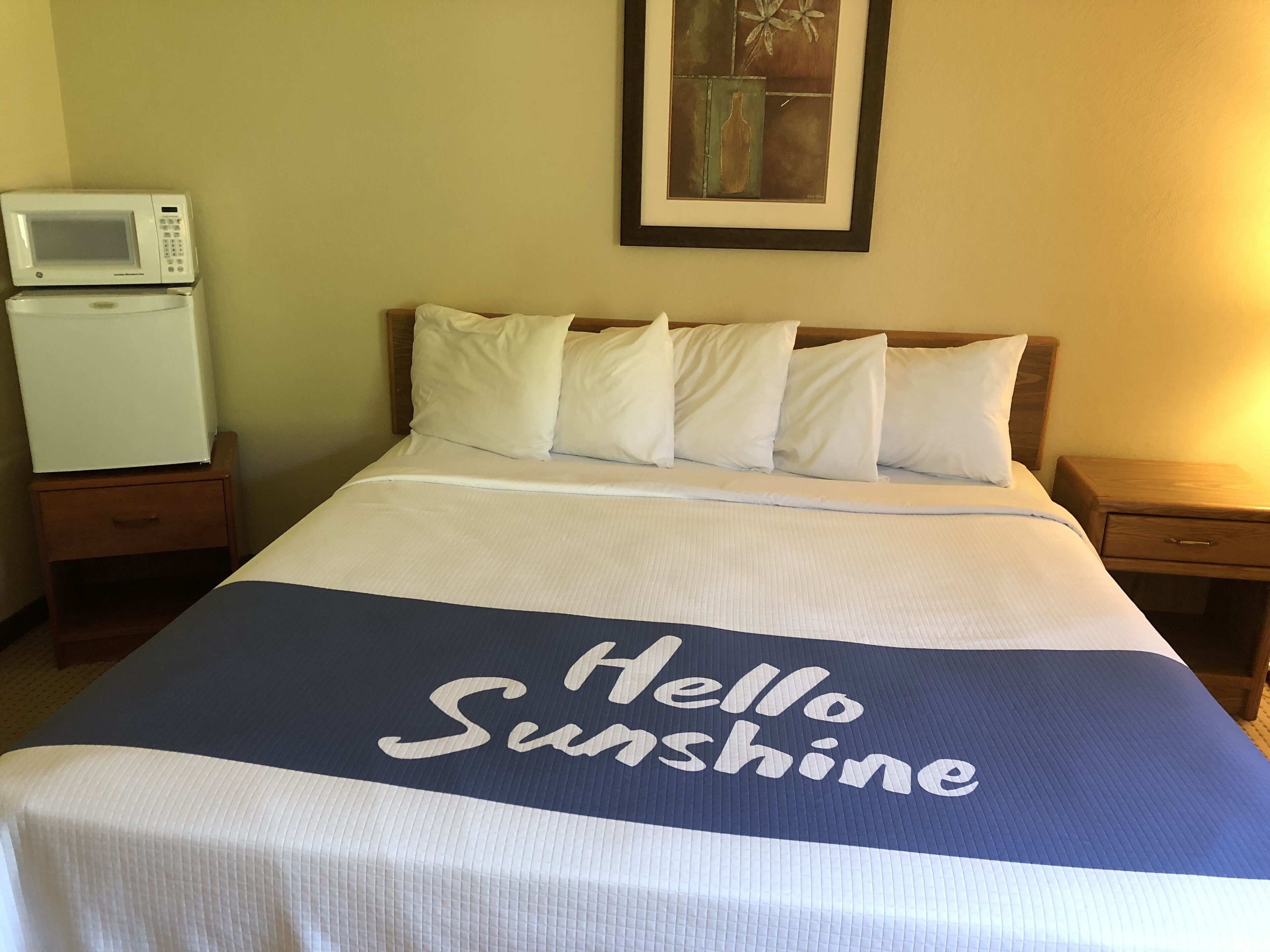 A hotel room with a bed, a white pillow, a white blanket, a framed picture on the wall, a white microwave, and a wooden nightstand.