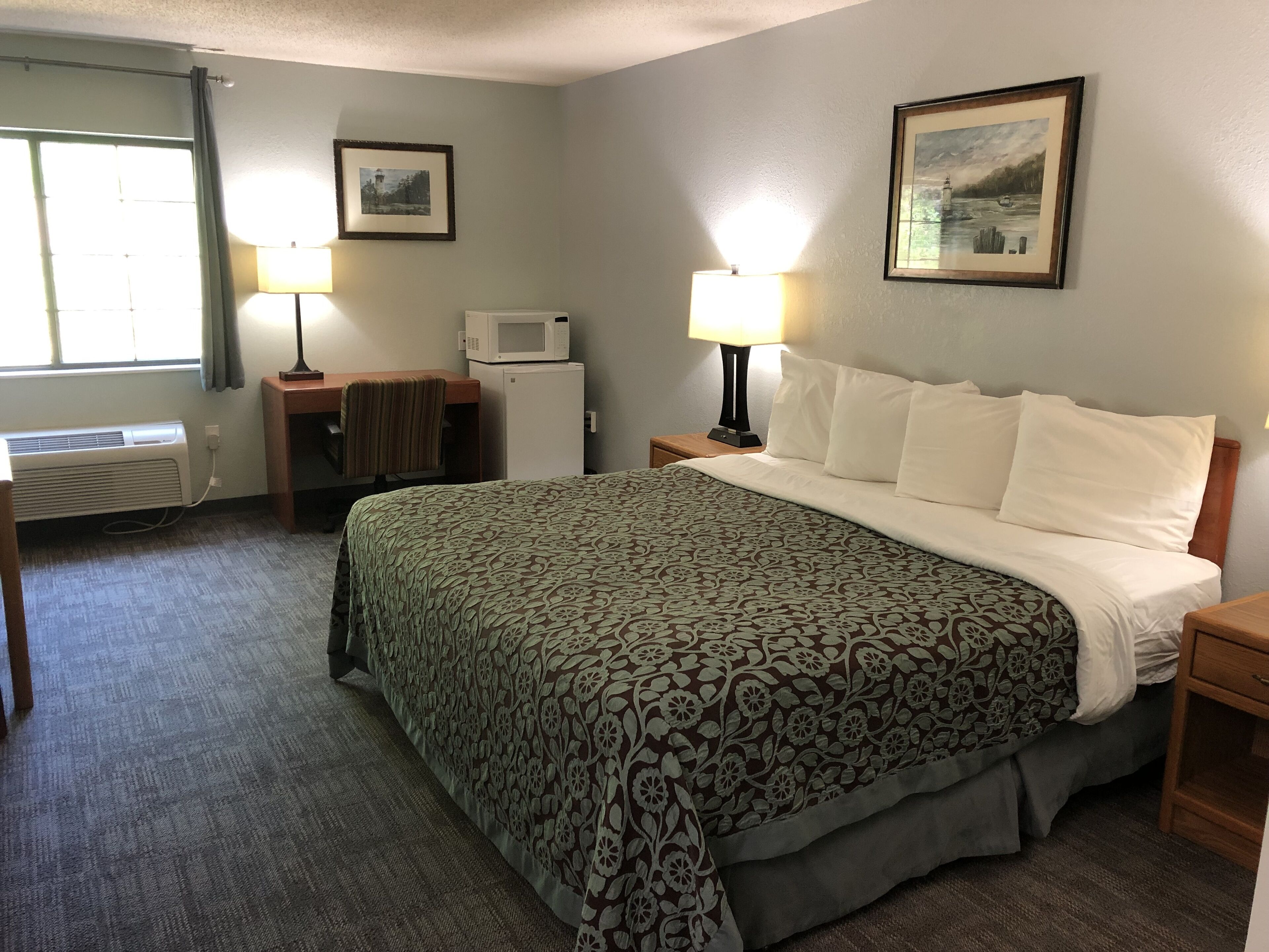 A hotel room with a bed, two bedside tables, a desk with a chair, a microwave, a heater, and two lamps.