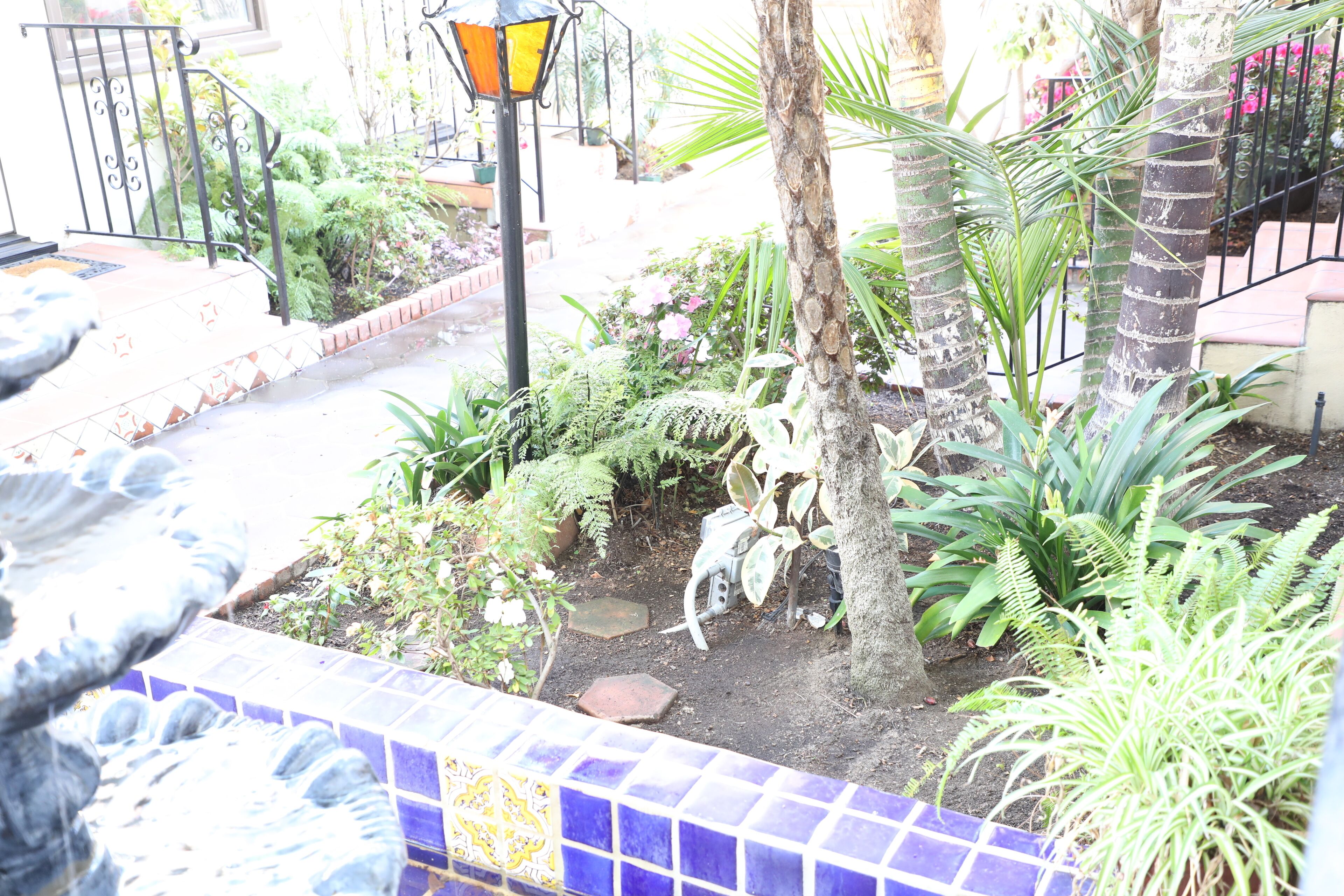 A garden with a palm tree, various plants, a tiled pathway, and a metal railing.