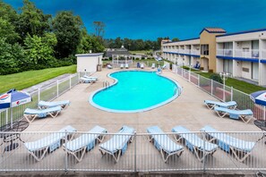 Seasonal outdoor pool, pool loungers