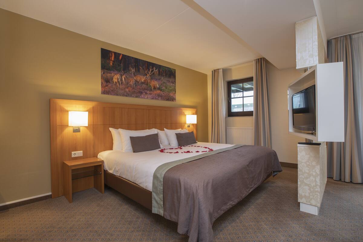 Quarto de hotel com cama, mesas de cabeceira, um quadro, televisão e cortinas.