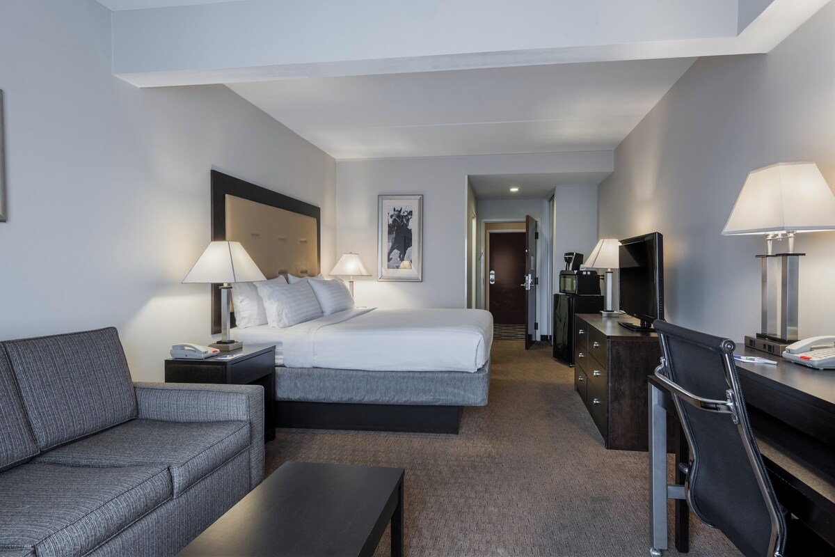 Habitación de hotel con cama, sofá, escritorio, silla, televisor y lámpara.
