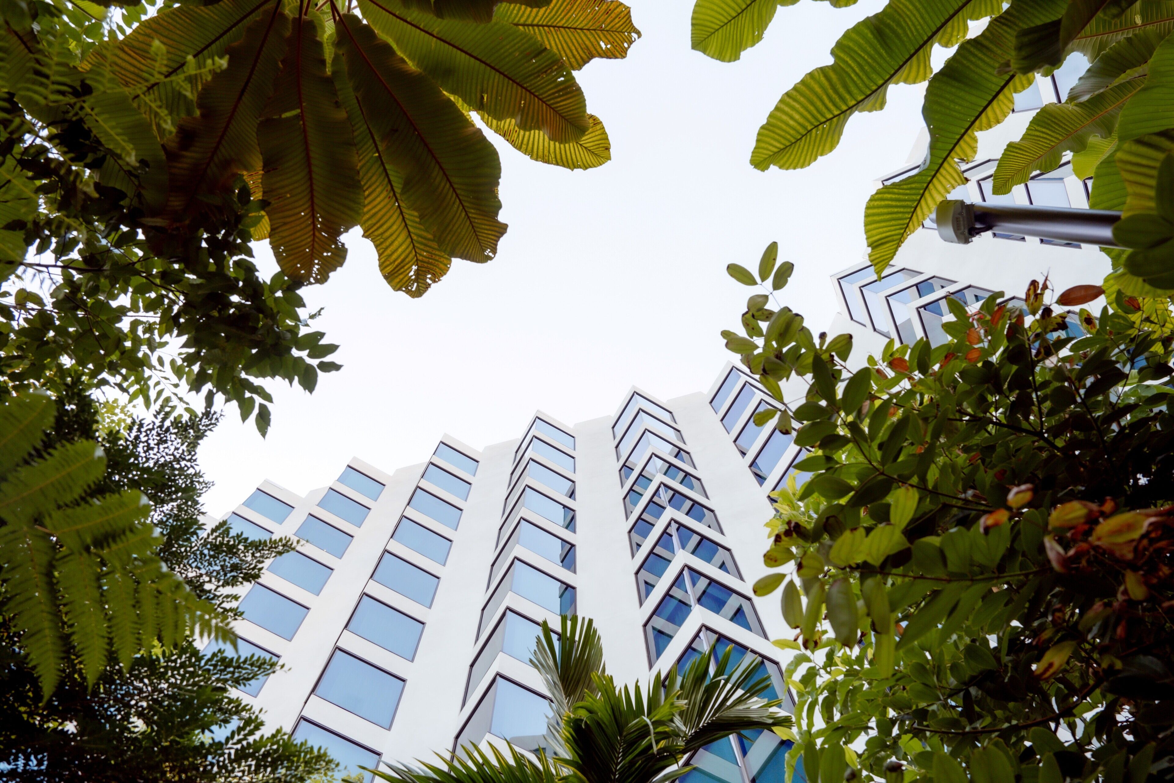 A modern building with multiple floors and large windows, surrounded by lush green foliage.