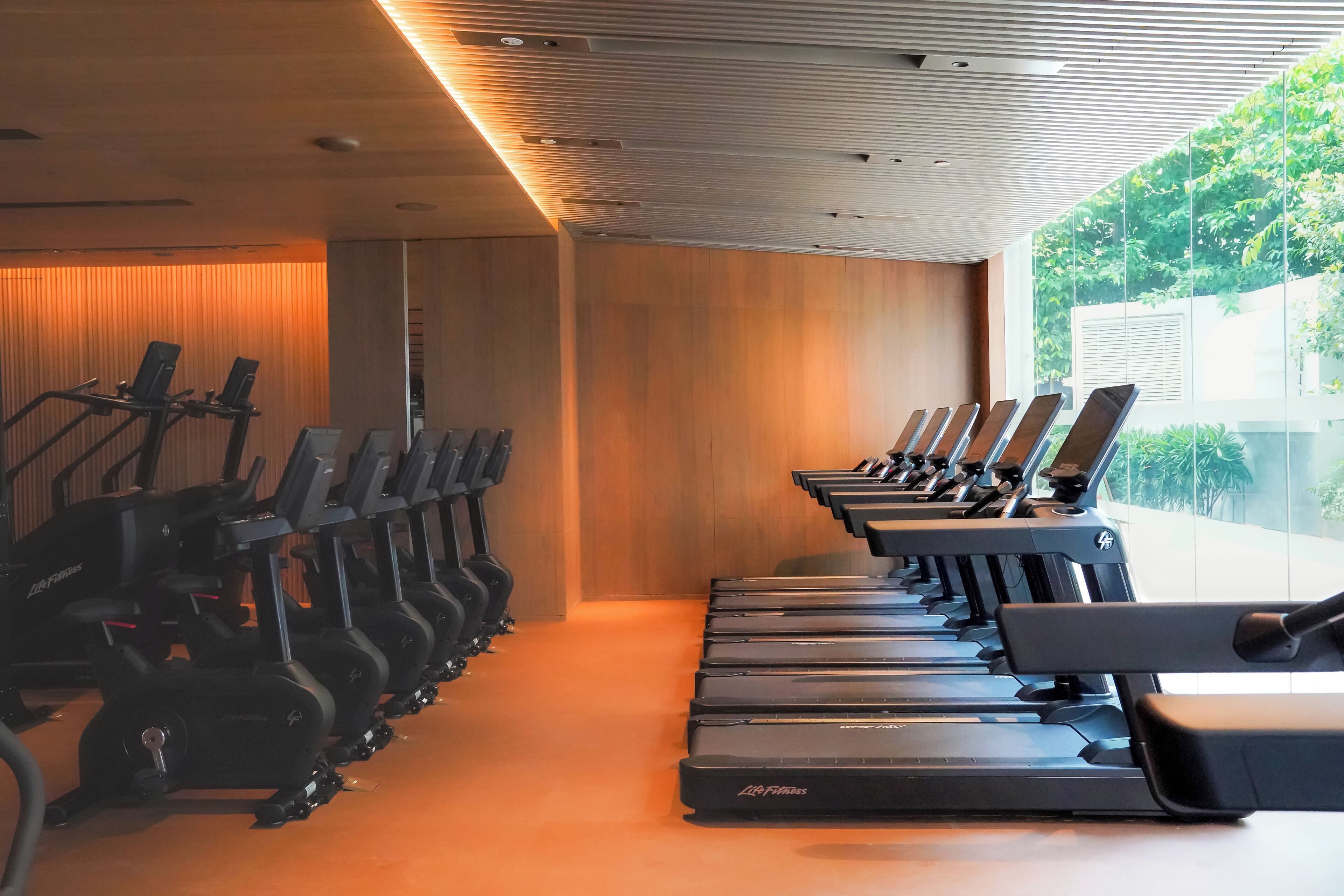 A gym with multiple treadmills and stationary bikes arranged in rows.