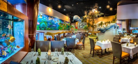 Rosen Centre Hotel - Image 21
