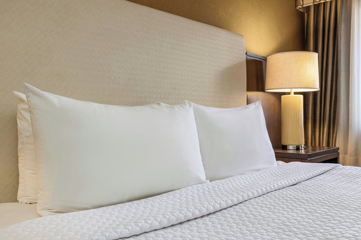 Habitación, 1 cama de matrimonio grande con sofá cama, vistas a la piscina | Piscina | Una piscina cubierta, una piscina al aire libre