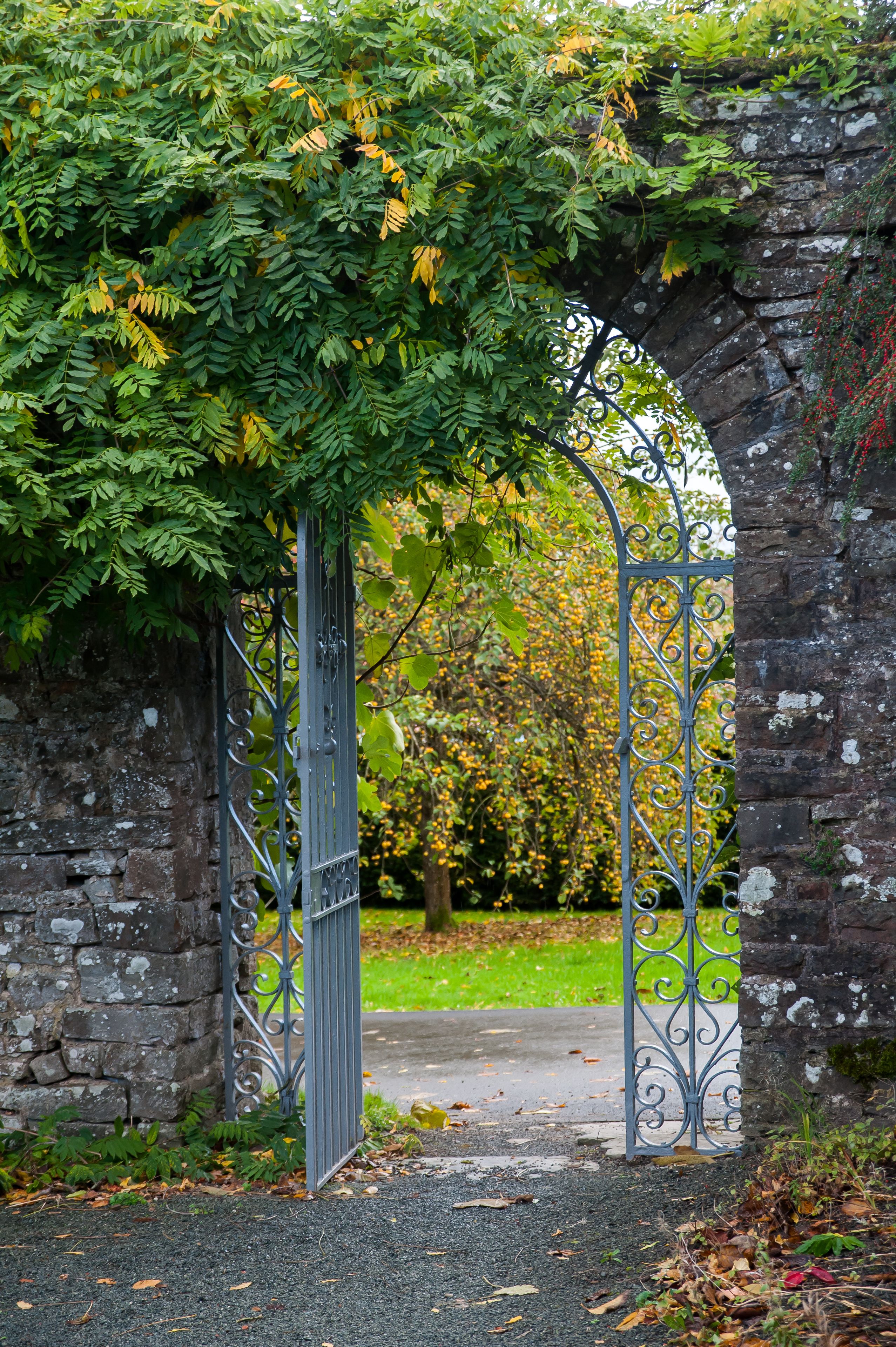 An arched metal gate with a stone wall on one side and a pathway leading through it.