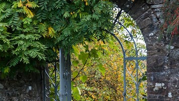 An arched metal gate with a stone wall on one side and a pathway leading through it.